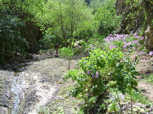 Wandern im Norden von Teneriffa